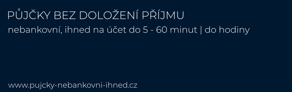 bez doložení příjmů